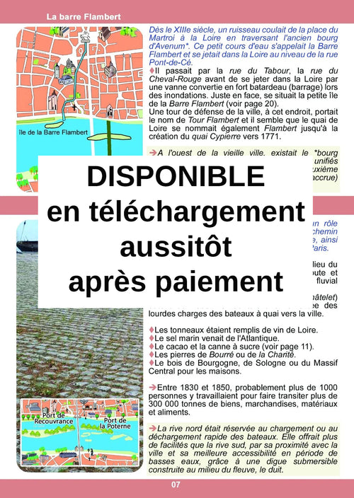 Ebook Orléans Insolite téléchargeable